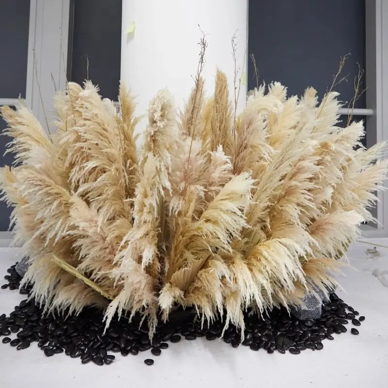 Simulated reed landscaping Indoor Internet celebrity dried flower scene arrangement Clothing store window decoration Advanced