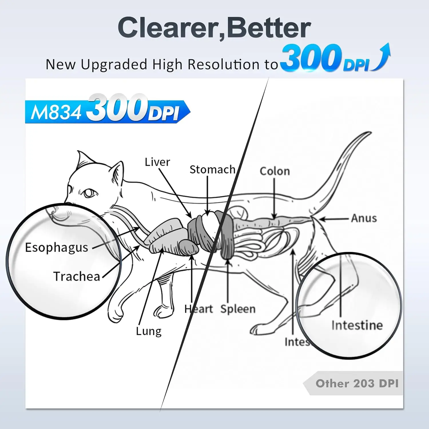 M834 Portable Printers Wireless BT Thermal Printer for Travel A4 Paper Inkless Compact 300dpi Printer Compatible for Phone/PC