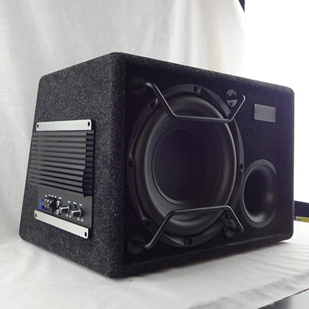 

New Product for Car Stereo with Amplifier 10 Inch Car Audio Amplifier Subwoofer Speaker Overload Protection 350W