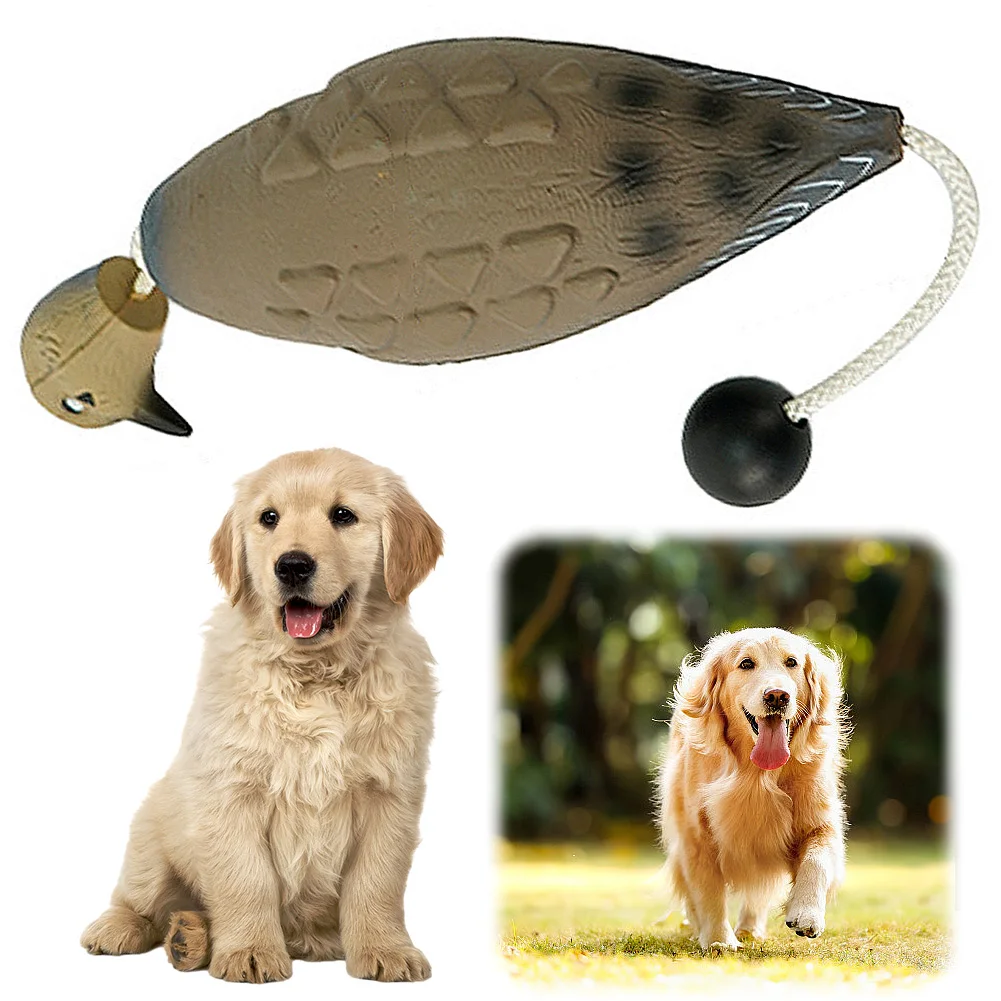 Outdoor Training Toy Dove Floating Dumy Duck Bumper Toys Hunting Dove Recognition Trainers for Hunting Retriever Dog Training