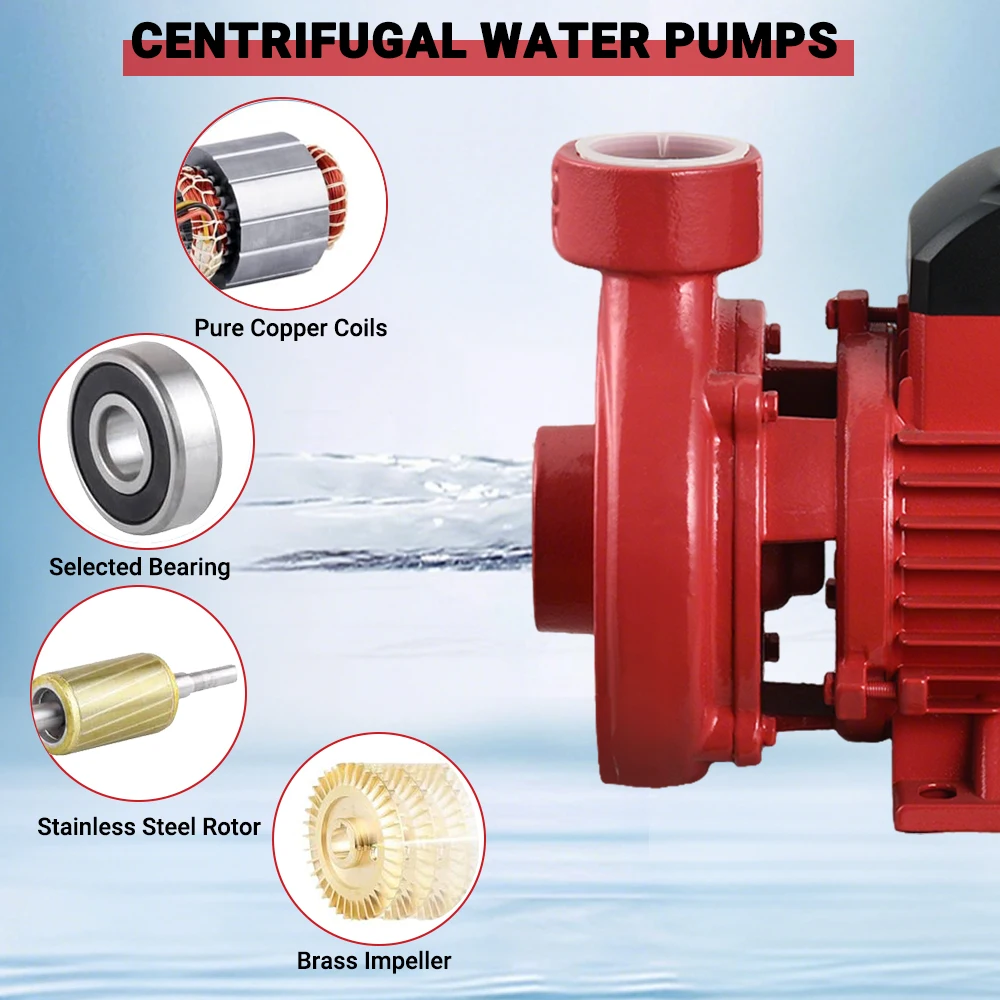 1.5DK-20 시리즈 1마력 750w 220v 450L/min 관개용 산업용 원심 펌프 (급수/농업용)