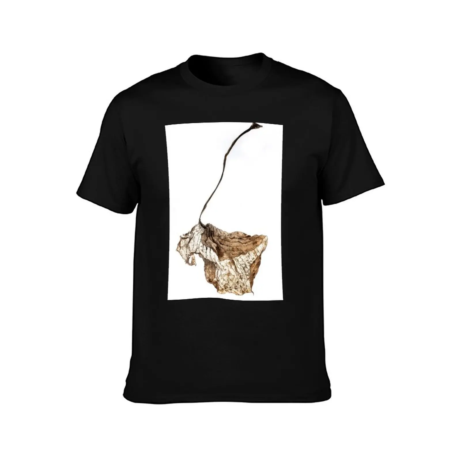 Dried Hosta Leaf T-Shirt All Match Basic Short Sleeve Top T-Shirt