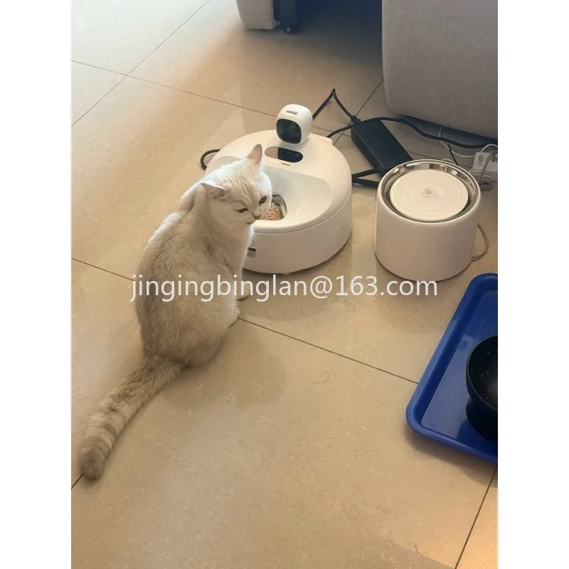 Best-selling wet food constant temperature visual automatic feeder, timer for cats and dogs, intelligent cat food feeder