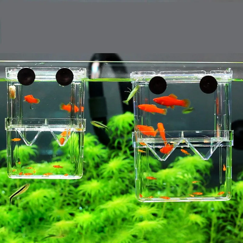 Peacock Fish Breeding Isolation Box Fish Tank Aquarium Breeder Box Double Holes Betta Fish Hatching Incubator
