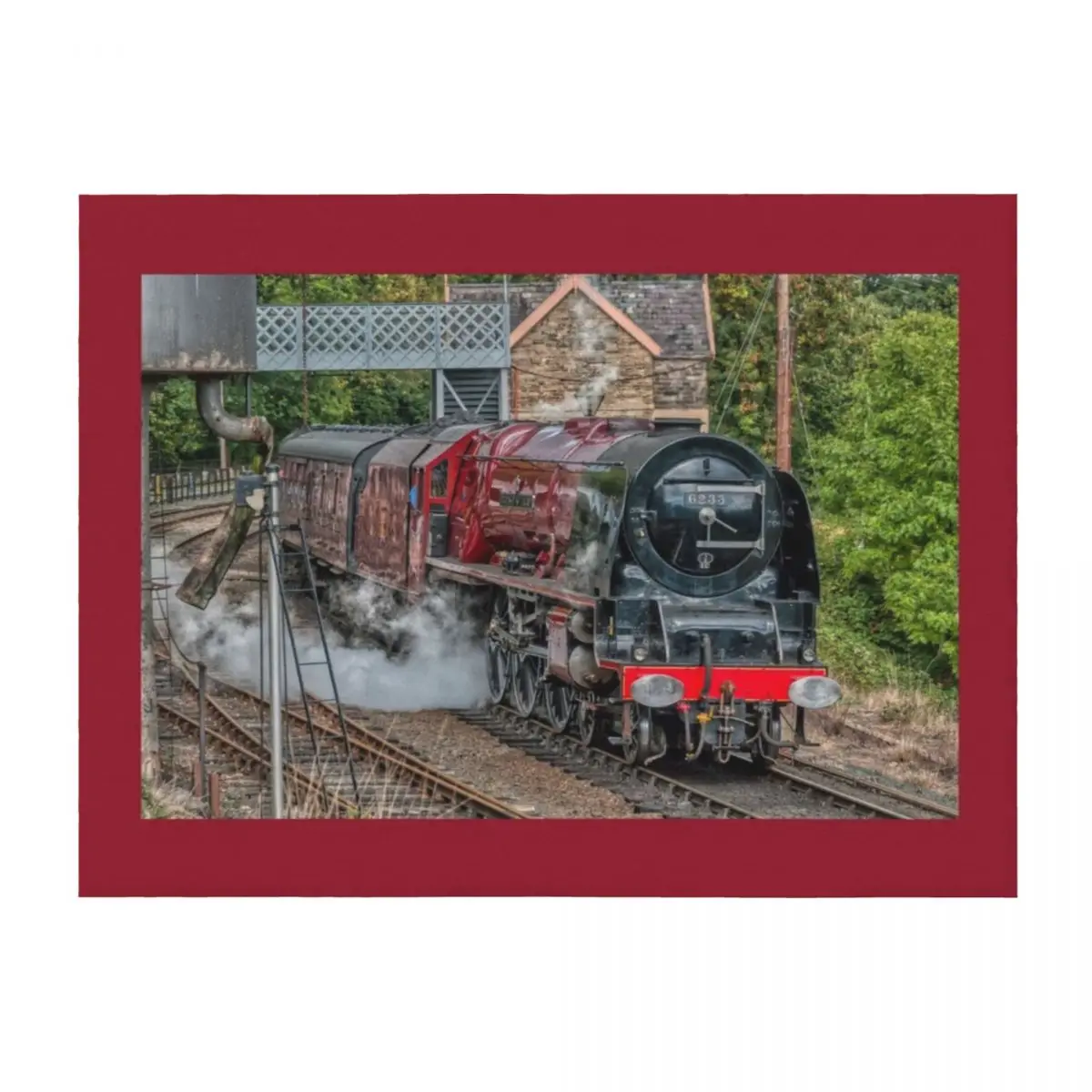 

6233 Duchess of Sutherland Throw Blanket Kid'S Bed Fashionable Luxury Designer Bed covers Blankets