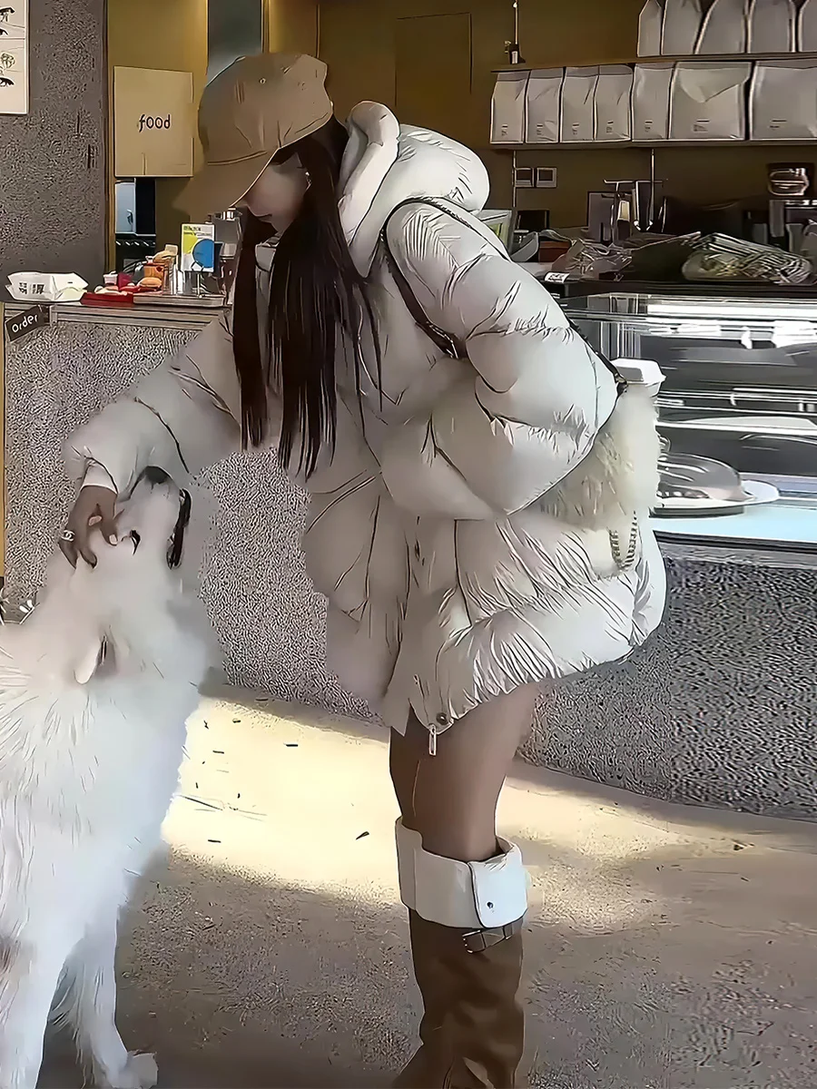 Chaqueta acolchada acolchada con capucha y cuello levantado para mujer, abrigo cálido de pan Sle, prendas de vestir exteriores de invierno, viento para ir al trabajo