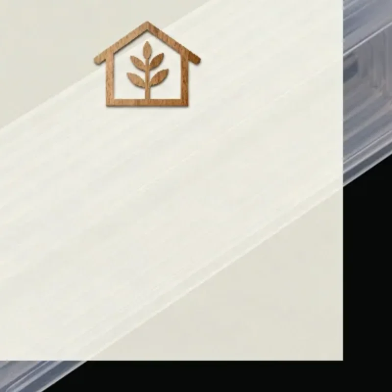 البلاستيك المجهر الشريحة الارسال الزجاج الشرائح حامل صندوق تخزين Microslide PP يحمل 5 صندوق موزع