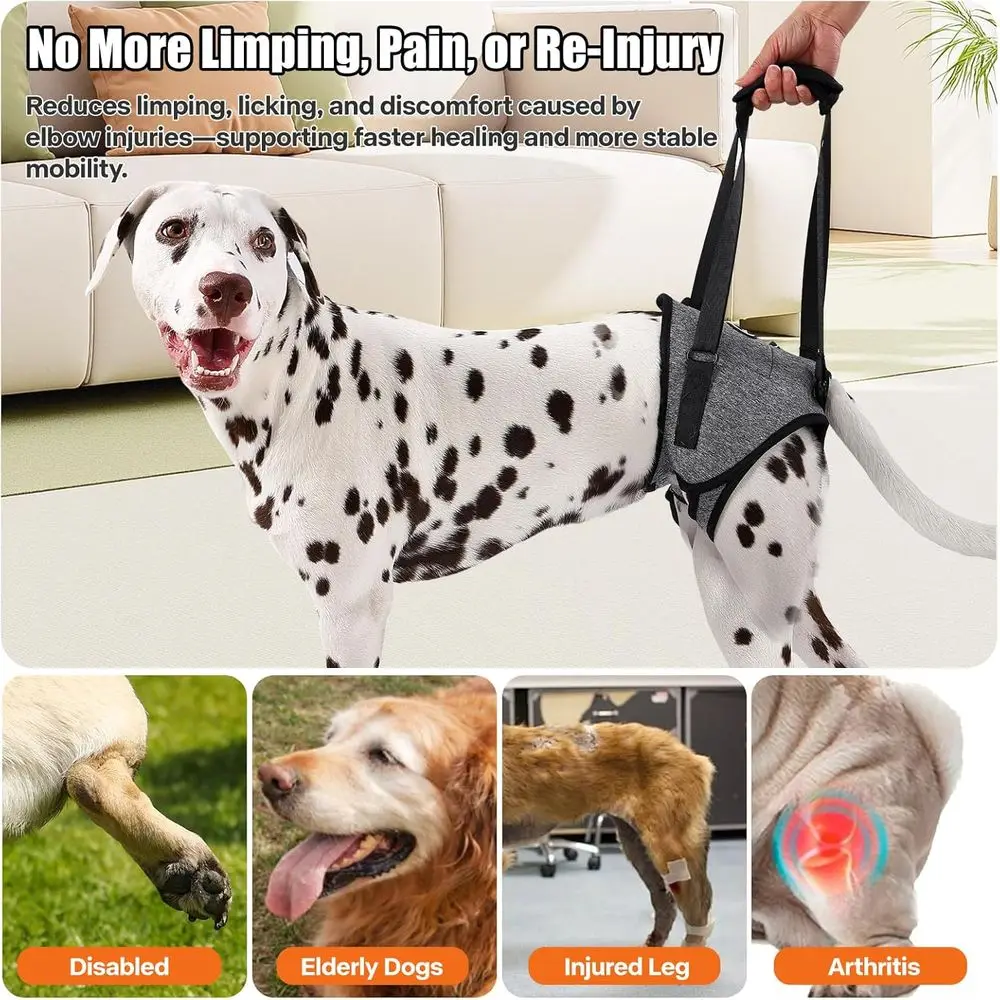 حزام دعم للكلاب الكبيرة ذات الأرجل الخلفية الضعيفة: يساعد على رقعة العضلات وقضايا المفاصل وإعادة التأهيل #4
