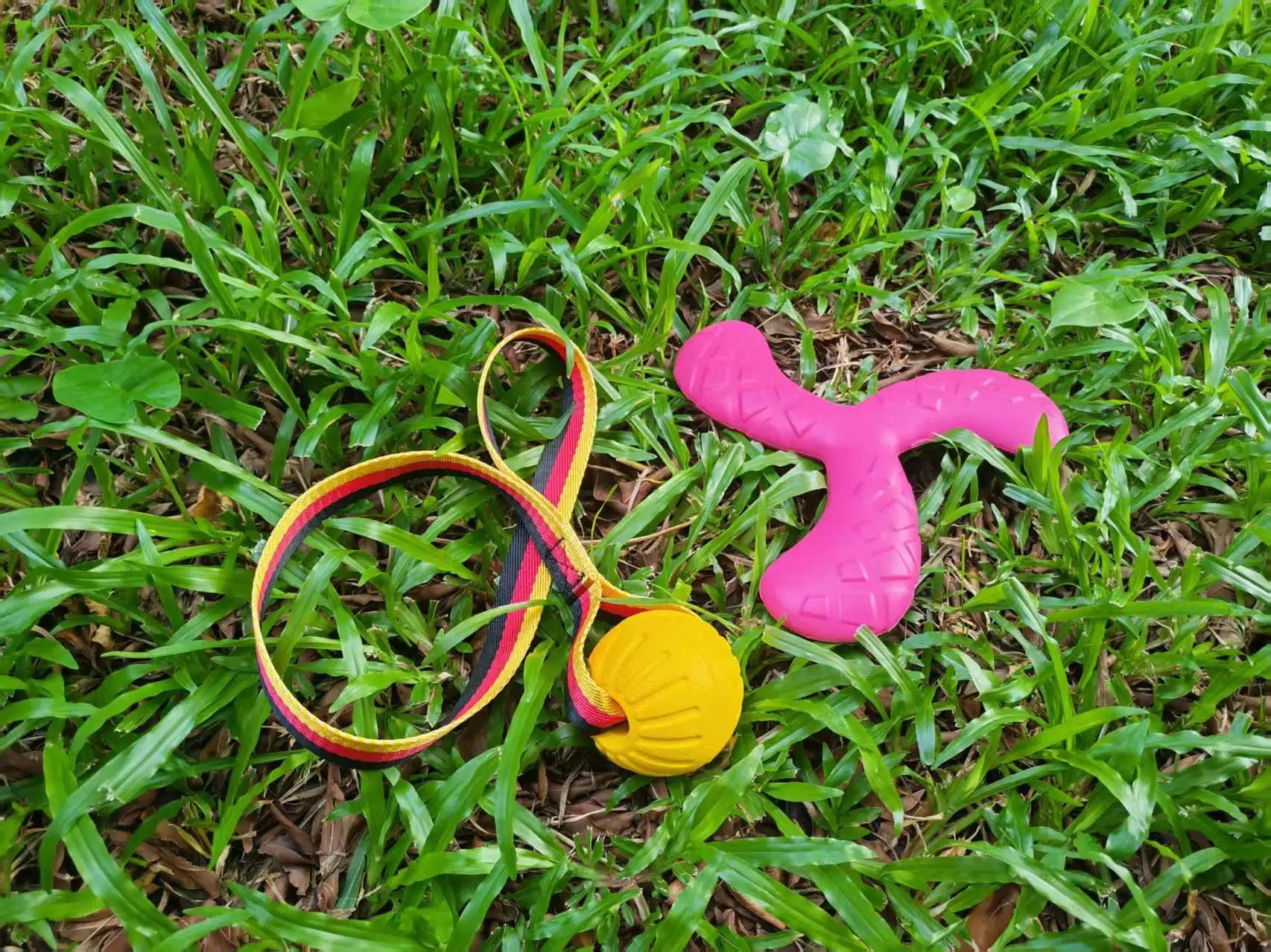 2 PCS EVA Dog Toy Set Durable Chew Toys for Dogs Interactive Fun Play for Puppies