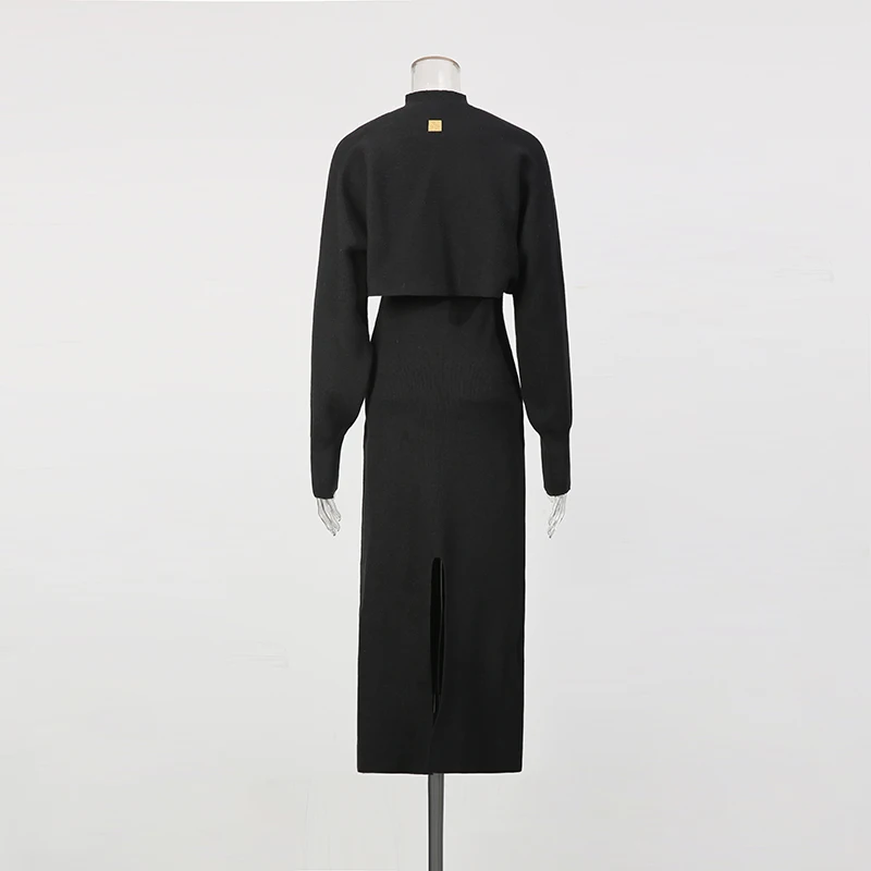 TWOTWINSTYLE Solid Spliced Shawl Chic Dress Female Turtleneck Sleeveless Slimming Elegant Streetwear Women's Dresses Fashion New - view 3