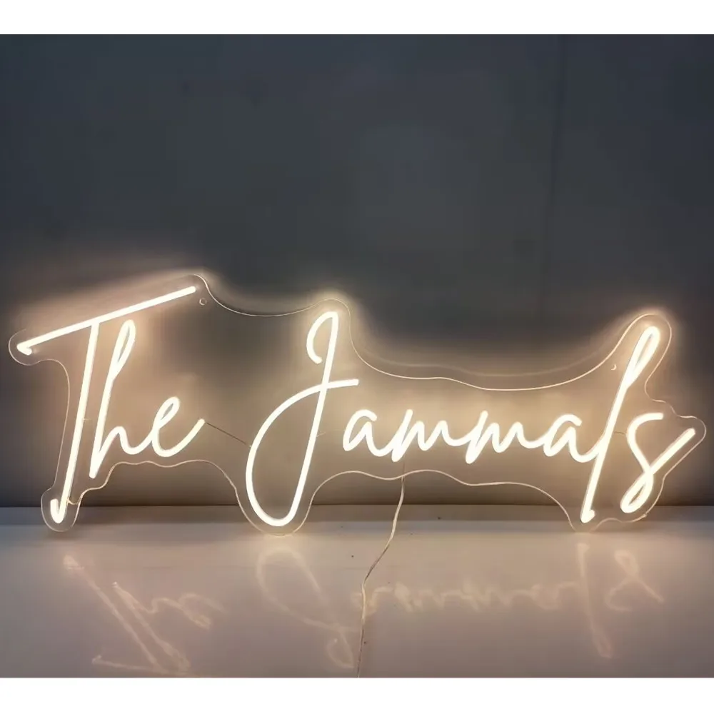 

Colorful LED Neon Lights for Room, Bar, Wedding – 12 Colors Available Remote Control
