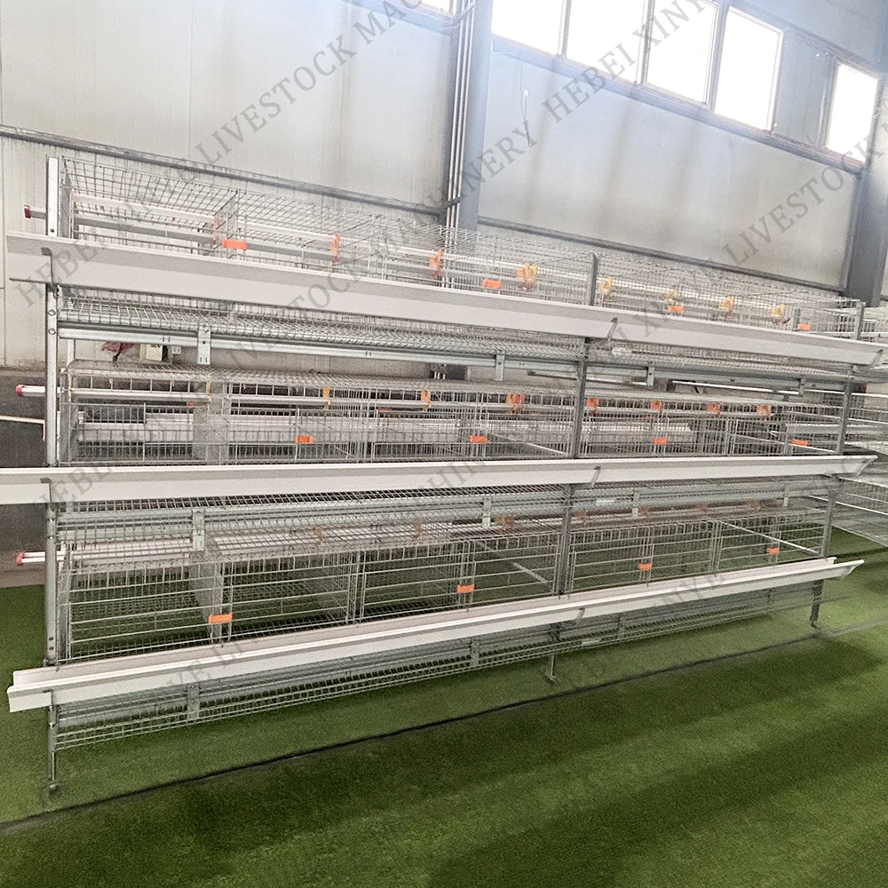 Commercial H Type Layer Cage Built-in Manure Cleaning Device Anti-rust Chicken Cage for Medium Scale Poultry Project