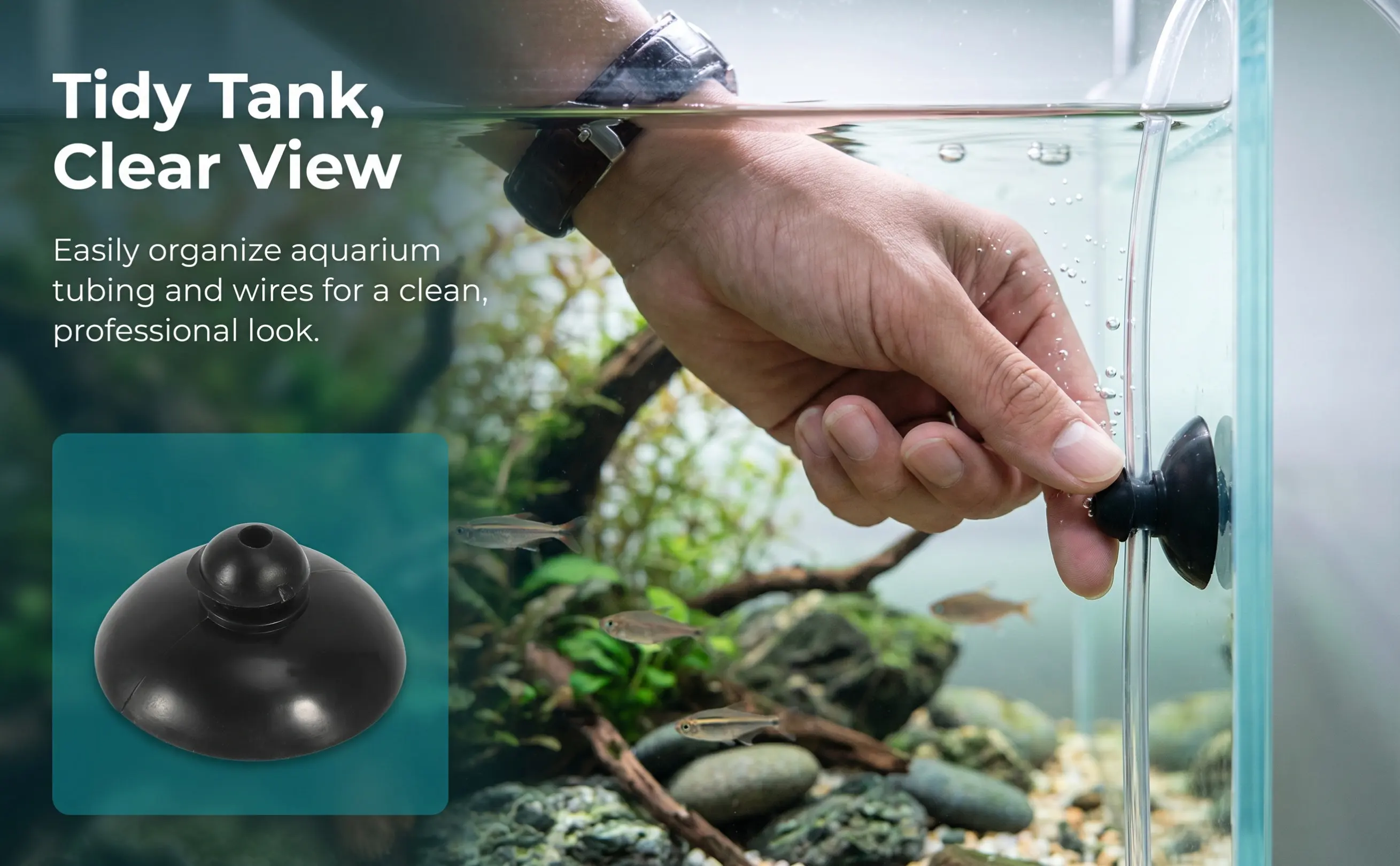 100Pcs Fish Tank Suction Cups for Oxygen Pump Submersible Water Pump Holder Aeration Air Pipe Wire Fixator Aquarium Accessory
