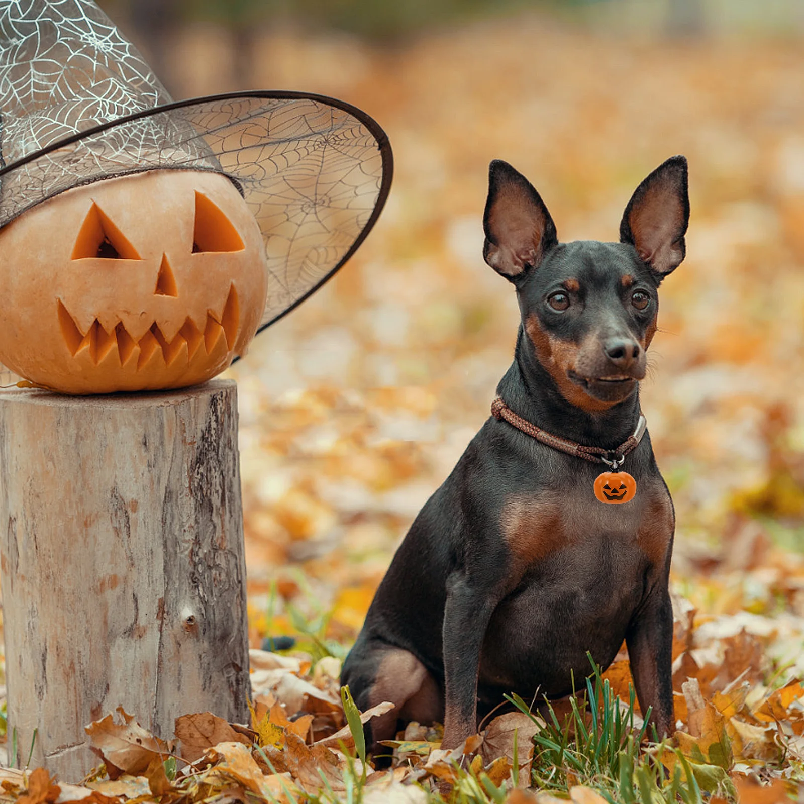 

5pcs Pumpkin Shape Copper Pet Bells Cartoon Jingle Bell Pendant For Dog Cat Safety Buckle Orange Halloween Gift Accessory