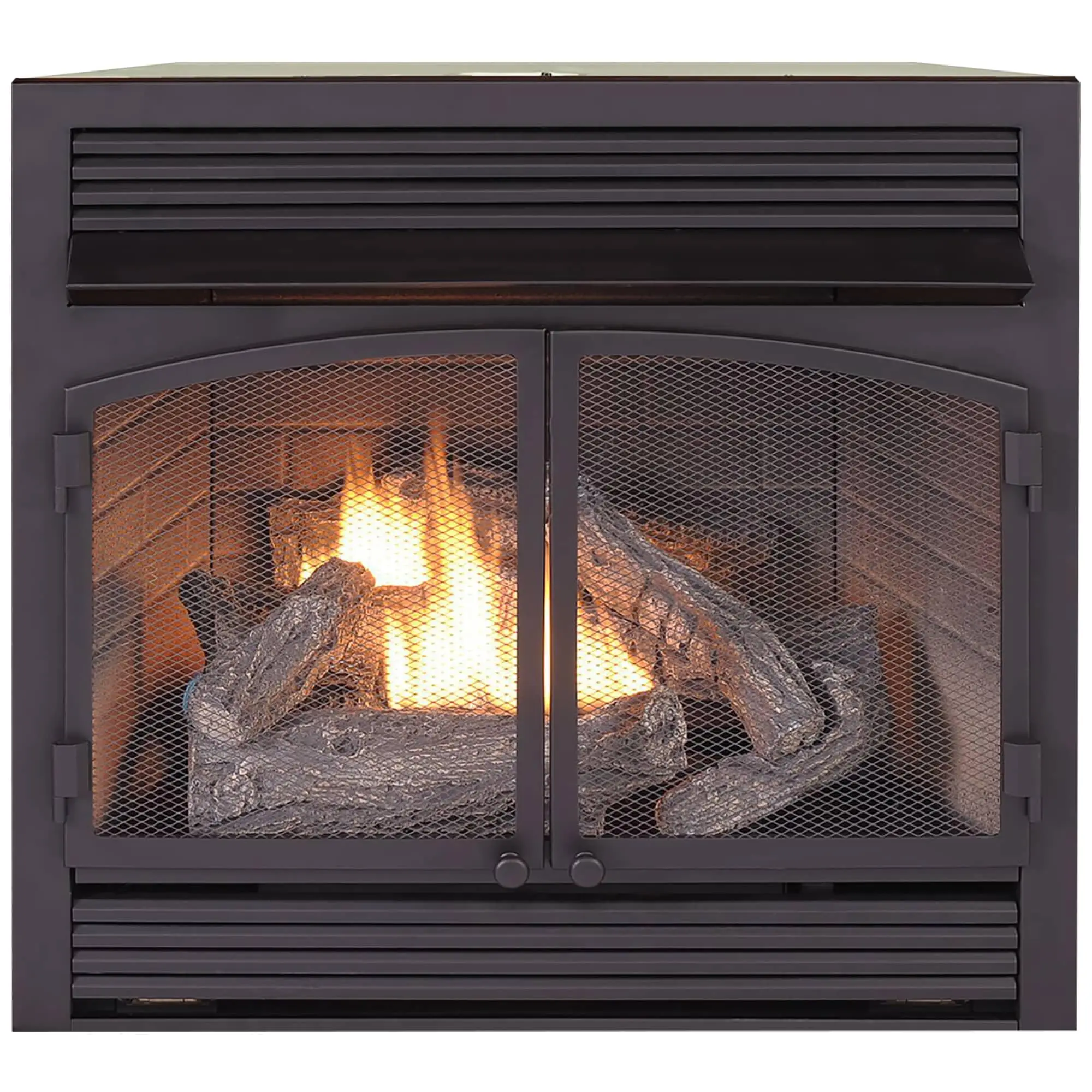 Dual Fuel Ventless Gas Fireplace Insert - 32,000 BTU, Remote Control - Model# FDF400RT-ZC