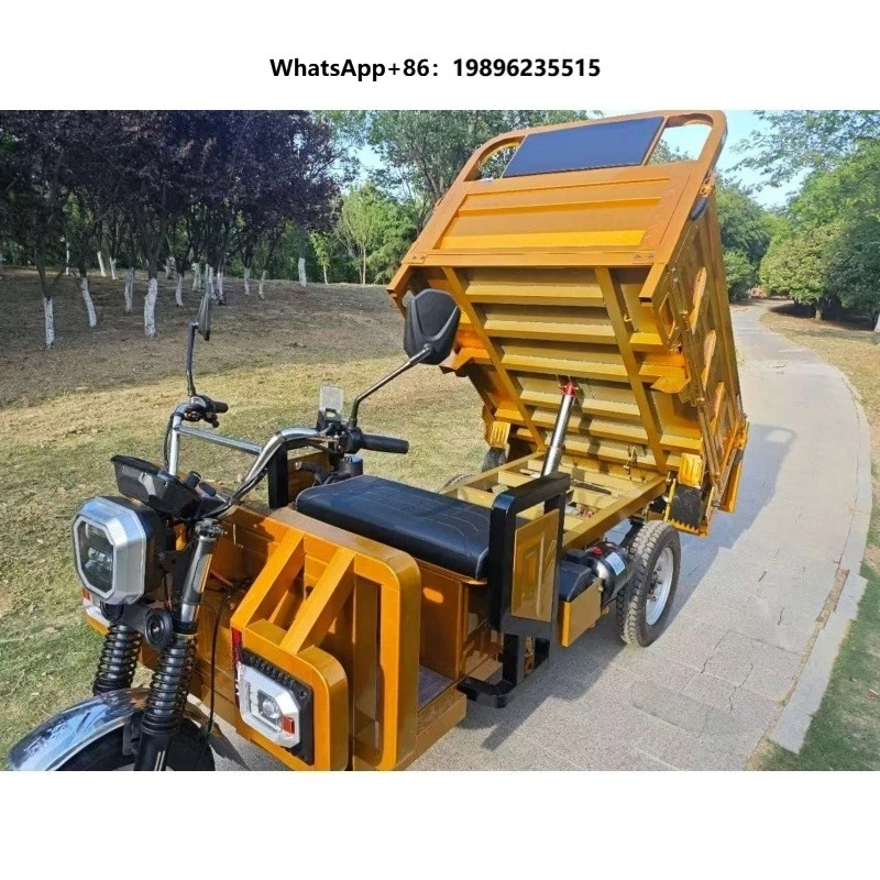 2025 New Yellow Energy Open Type Adult Electric Scooter 3 Wheel Tricycle Cargo Passenger Tricycle for Adult Tricycle