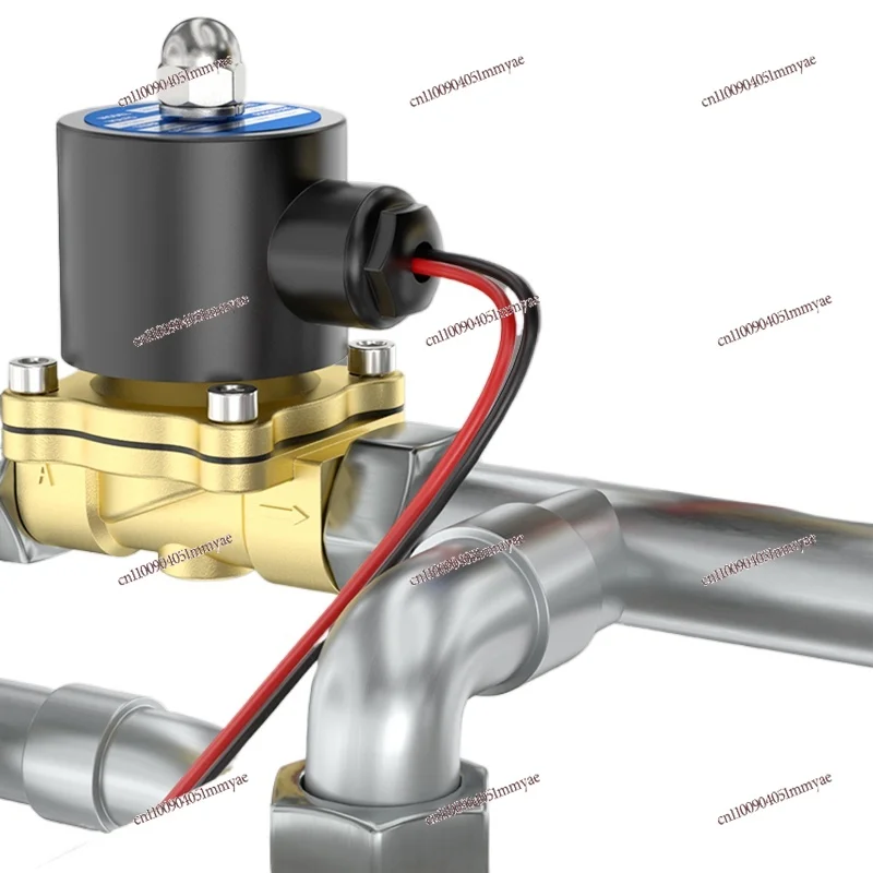 

2W Normally Closed Water Inlet 24V Solenoid Valve 220V Copper Switch Valve 2 Minutes 4 Minutes 6 Minutes 1 Inch Water Discharge