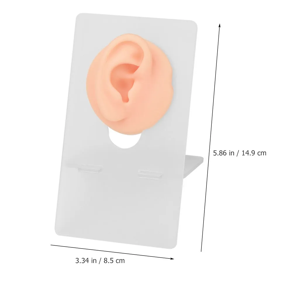 Silicone Tattoo Practice Skin for Training – Realistic Feel, Reusable Ear Model for Beginners & Professionals