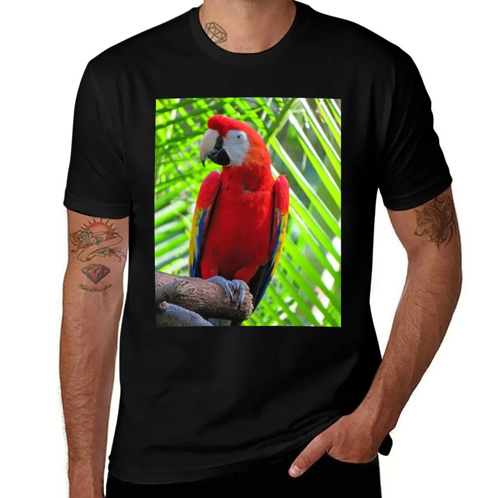 

Macaw T-Shirt boys whites aesthetic clothes anime clothes t shirt men