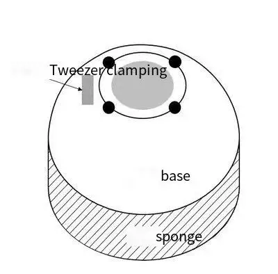 2.0/3.0 Ophthalmology Phacoemulsification Capsulorhexis forceps Circular capsulorhexis practice model 1meter film