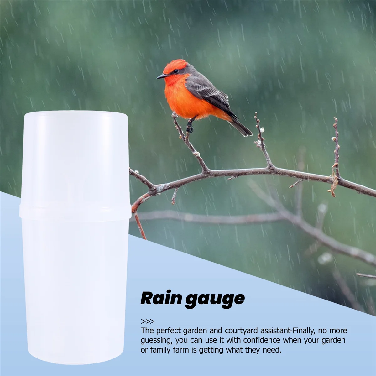 Rain Gauge Plastic Rain Gauge Science Teaching Instrument Is Suitable for , Weather Observers, Gadget Lovers