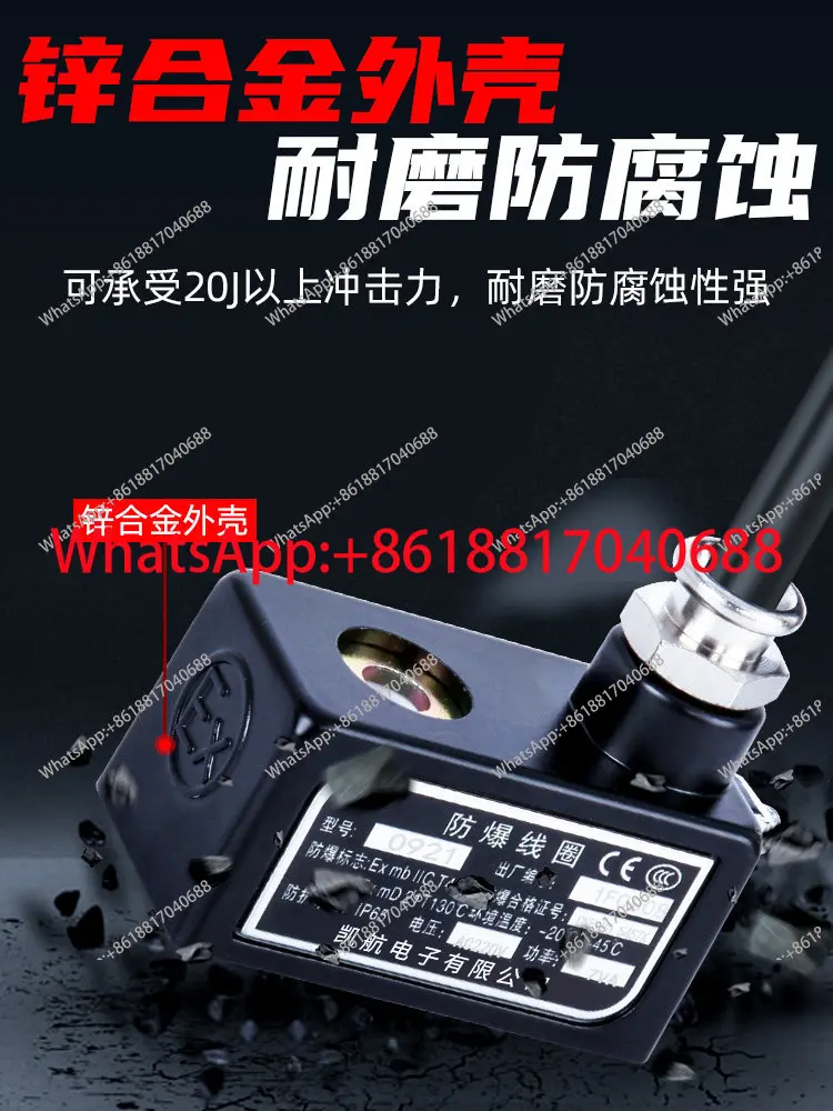 Industrial solenoid valve explosion-proof coil AC220V/DC24V pulse valve waterproof