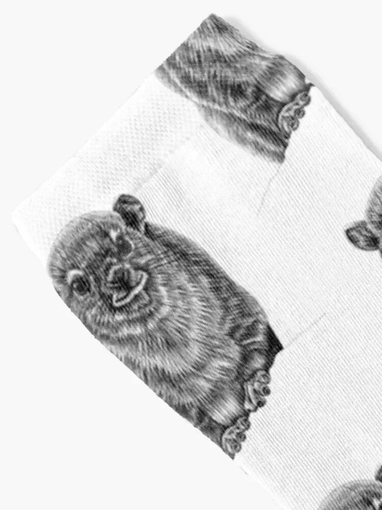 Baby rock hyrax Socks sheer essential christmas gift Boy Socks Women's