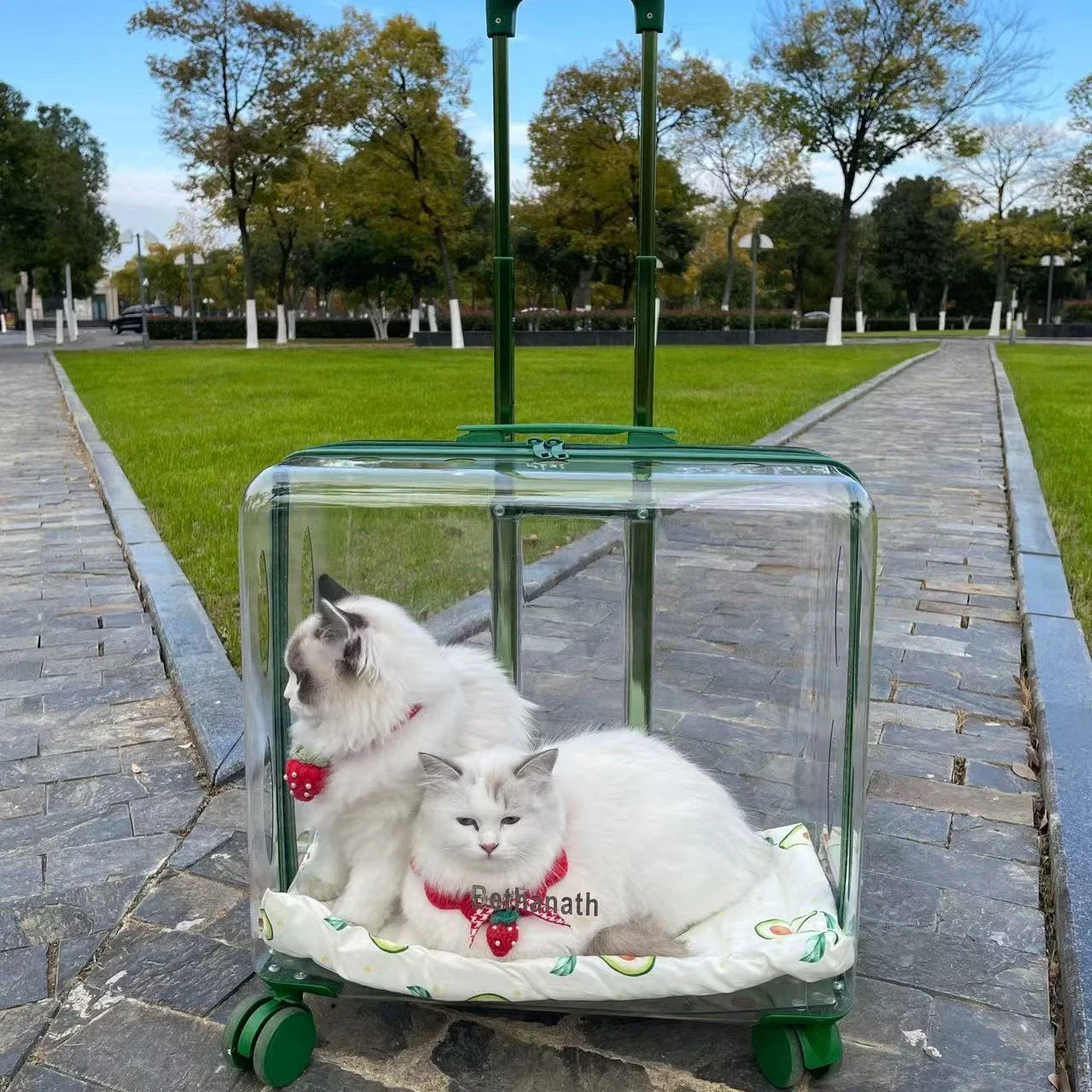 

Transparent Pet Suitcase Two Cats Bag Carrier Portable Outdoors Pet Trolley Suitcase Universal Small Travel for Dog