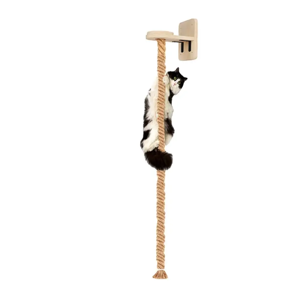 An der Wand montiertes Katzen-Kletterseil, Katzen-Kletterturm-Spielzeug mit Kratzbäumen, Katzenbaum, Kätzchen-Seilleiter, geeignet zum Klettern