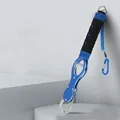 blue ribbon