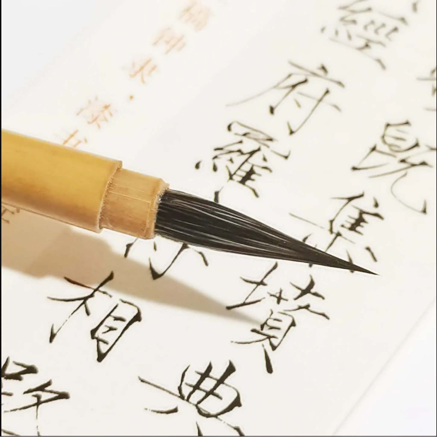 شو جين تي الخط الصيني فرشاة الرسم أرنب الشعر فرشاة النص العادية الصغيرة ليان القلم مخطوطة النصي مجموعة خطوط الرسم #6