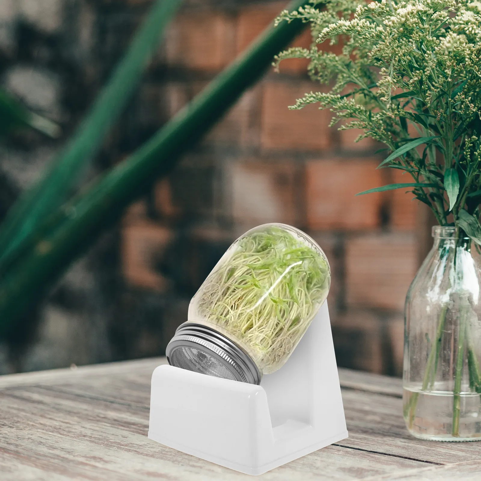 

2Pcs Sprouting Lid Stand PP Material Reusable Jar Support for Growing Sprouts Drainage Aeration Desktop Plant Growing Rack