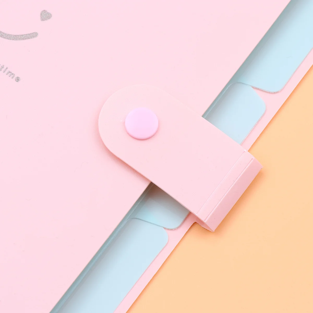 Cartella di file A4 da 2 pezzi in plastica multistrato con pagine inserite, organizer per documenti leggero per cartella di file A4 per casa, ufficio scolastico