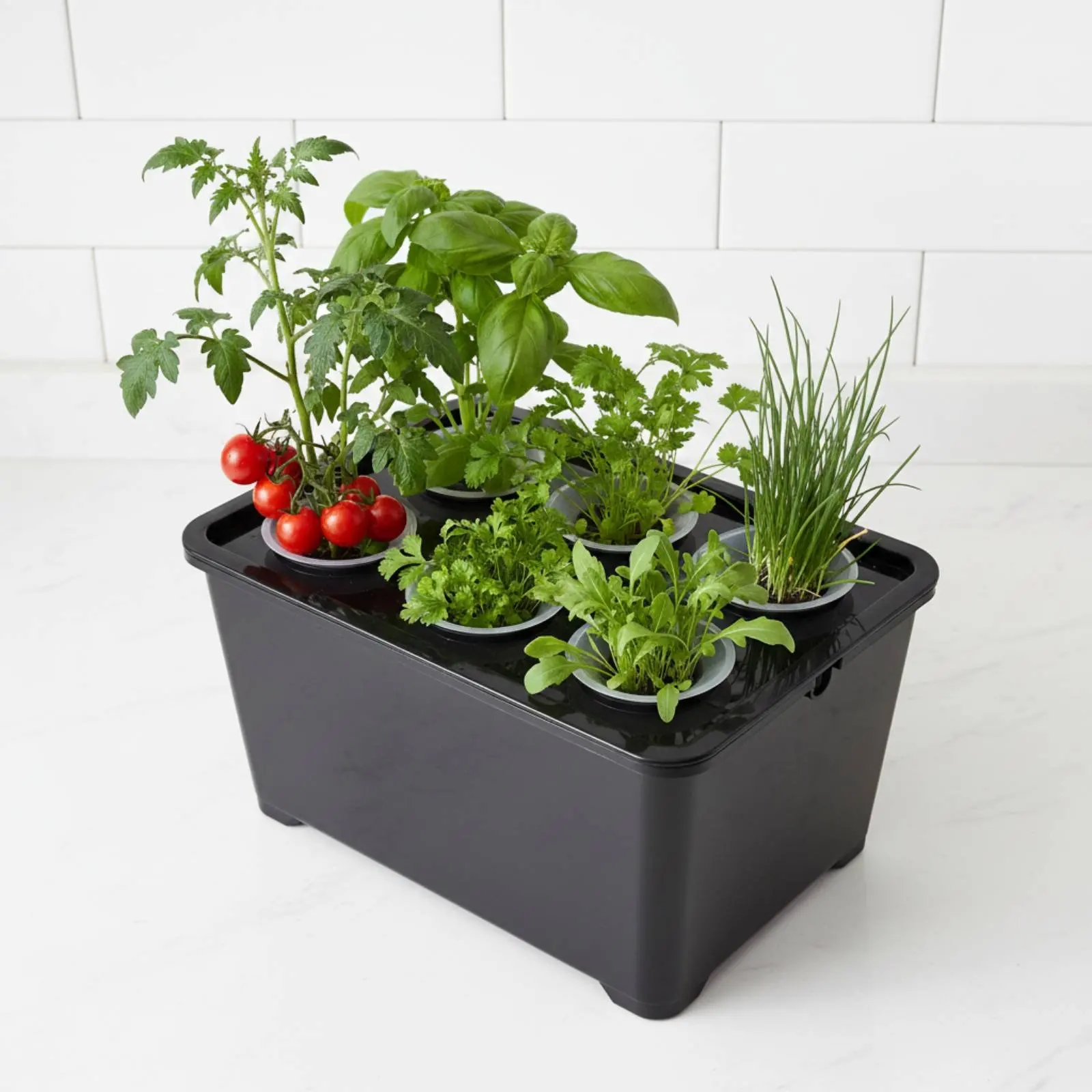 

Hydroponic Planting Box Sunlight Friendly Hydroponic Growing Box Seed Pods Kit Home Gardening Easy to Use for Beginners, Indoor