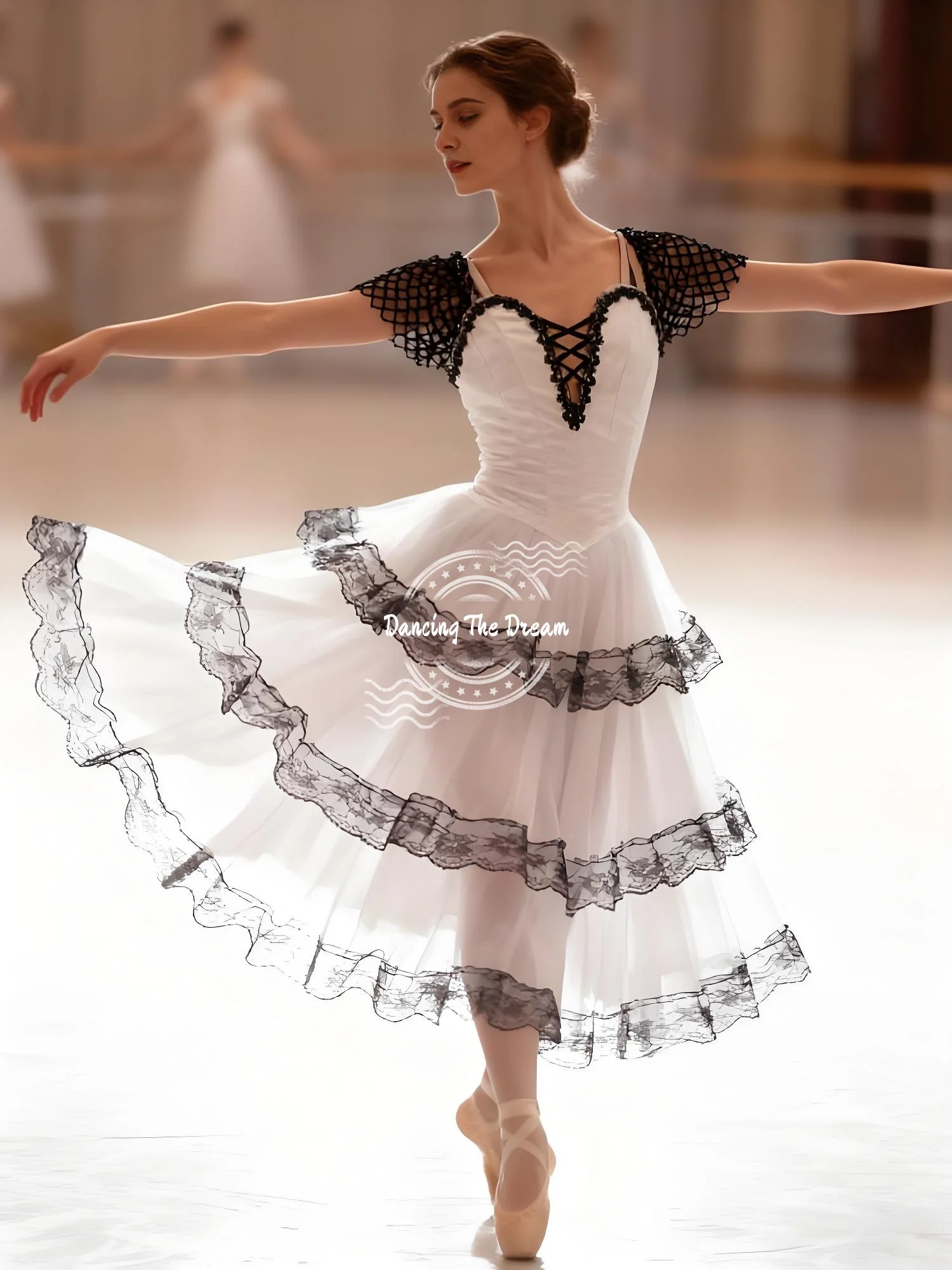 

Romantic Tutu Ballet Costumes For Women And Girls Dance Dress Tulle Ballet Skirt