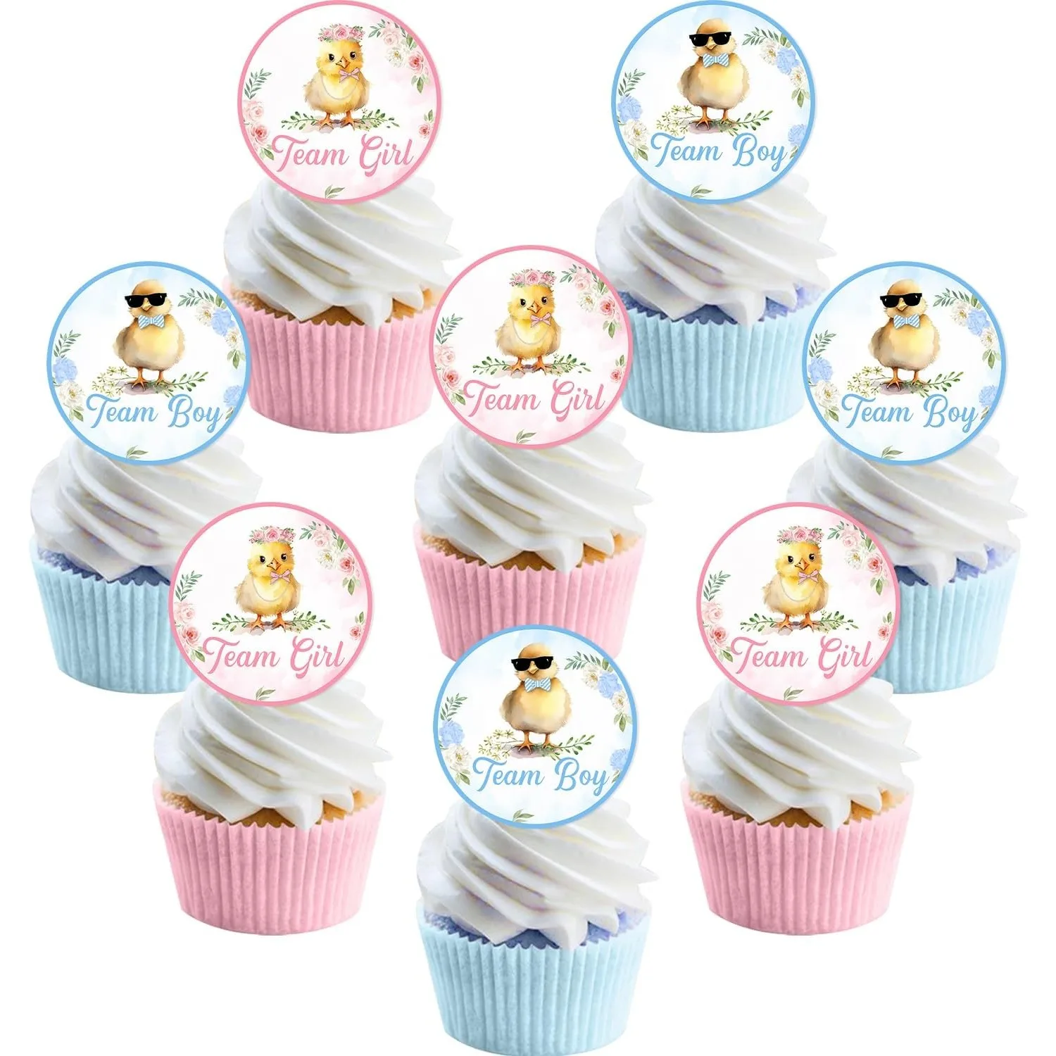 

Joymemo 36Pcs Chicken Themed Gender Reveal Cupcake Toppers Pink Blue for Baby Shower Boy or Girl Party Decor Supplies