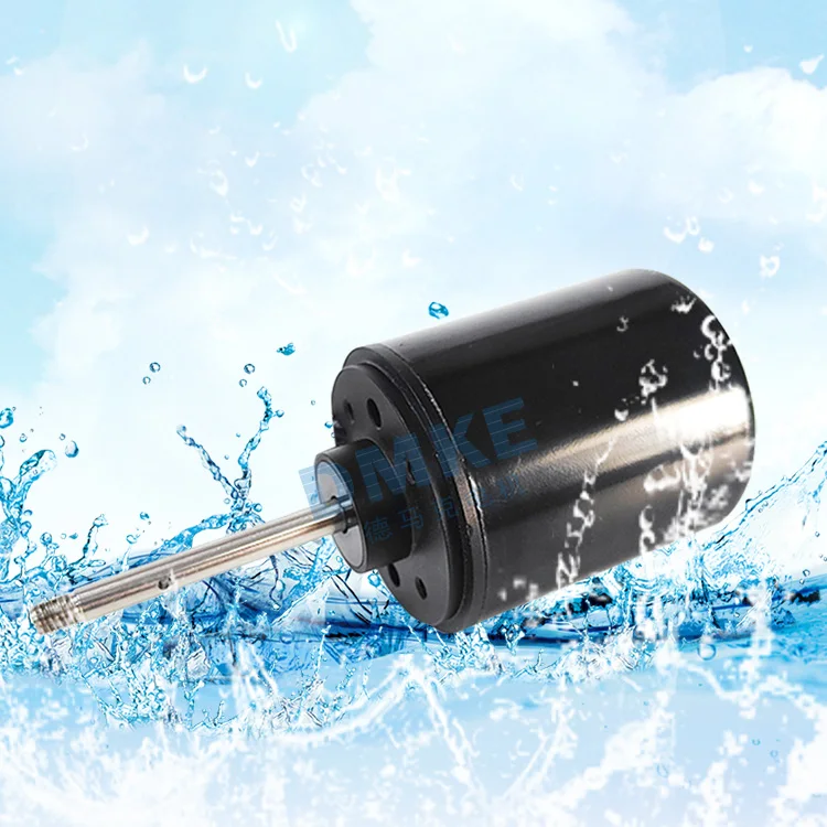 12V 24V 48V Anti-Sediment Waterproof Sea Scooter Surf Bldc Motor Ip68 Underwater Thruster Submersible Brushless Dc Motor