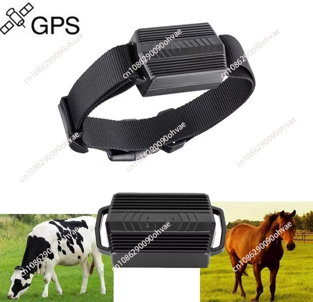 GPS-трекер TK935 для отслеживания животных с ошейником GPS para localizar mascotas extraviadas