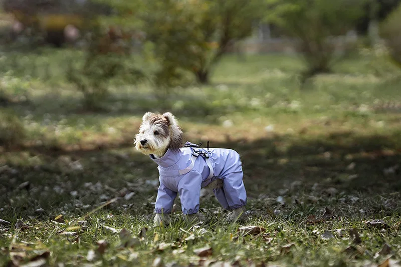 Hunderegenmantel mit Geschirr, wasserdichte Haustier-Regenjacke für kleine Hunde, verstellbarer, reflektierender Hunde-Regenoverall mit 4 Beinen – Detail 16