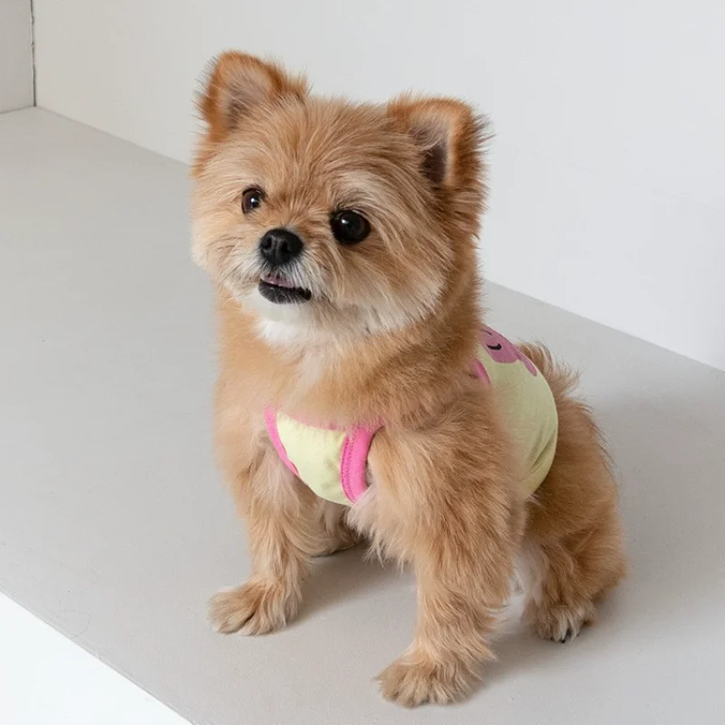 Ins Dogs Clothes Color Contrast Summer Pet Dog Clothing Cute Thin Section Breathable Cotton Camisole Puppy Dogs Vest Teddy