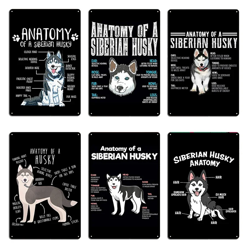 Funny Siberian Husky Anatomy Dog Owner Dog Lover Anatomy of A Husky print Siberian Dog Fans Tee product Metal Tin Sign Poster