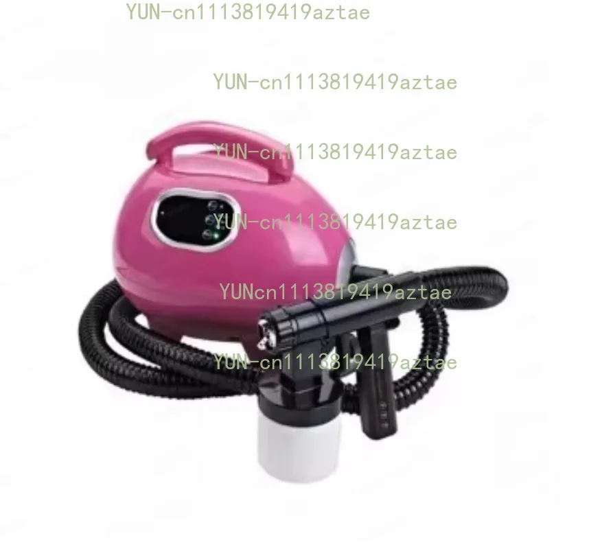 Sunless Tan Spray Machine Professional Electric   Airbrush  Salon SPA Beauty ning er Air Brush for Home