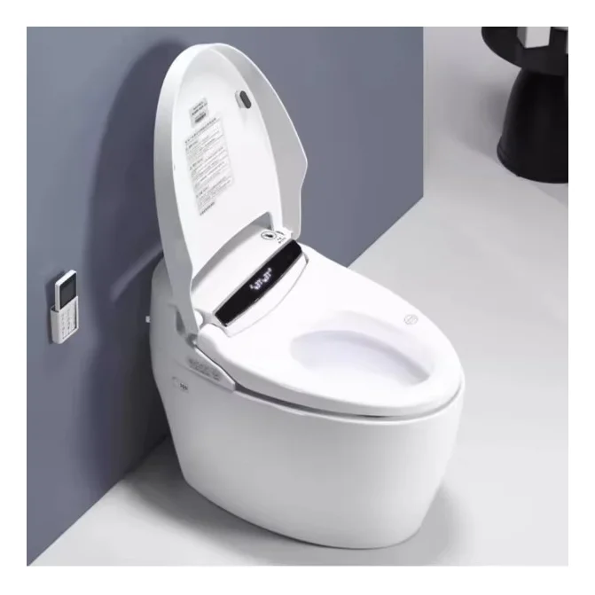 

Luxury Smart Toilet Automatic Toilet Smart Bidet Toilet Auto Open/Close