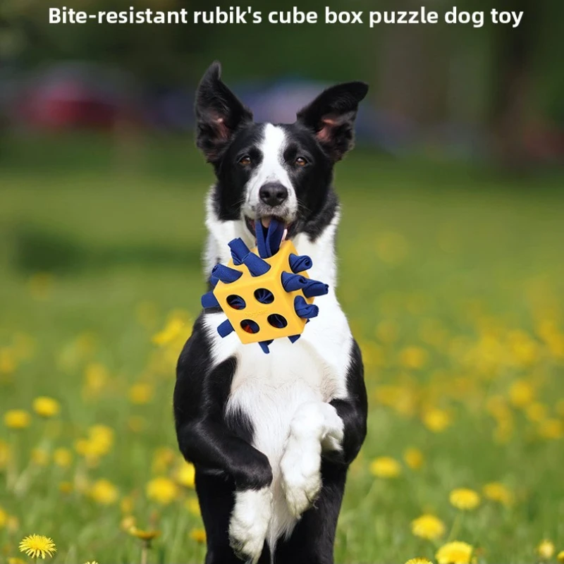 Jouet interactif Anti-morsure pour chien, recherche pour aliments cachés, Puzzle Rubik's Cube, formation à mâcher, jouets de nettoyage des dents, fournitures pour chiens de compagnie