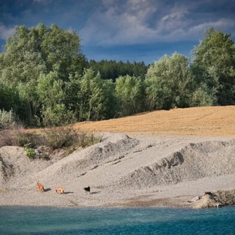 

4 шт. 1,0 "металлический набор колес с бисером для 1/18 1/24 RC гусеничного автомобиля SCX24 FMS24 TRX4M-W185, обновленные детали, аксессуары