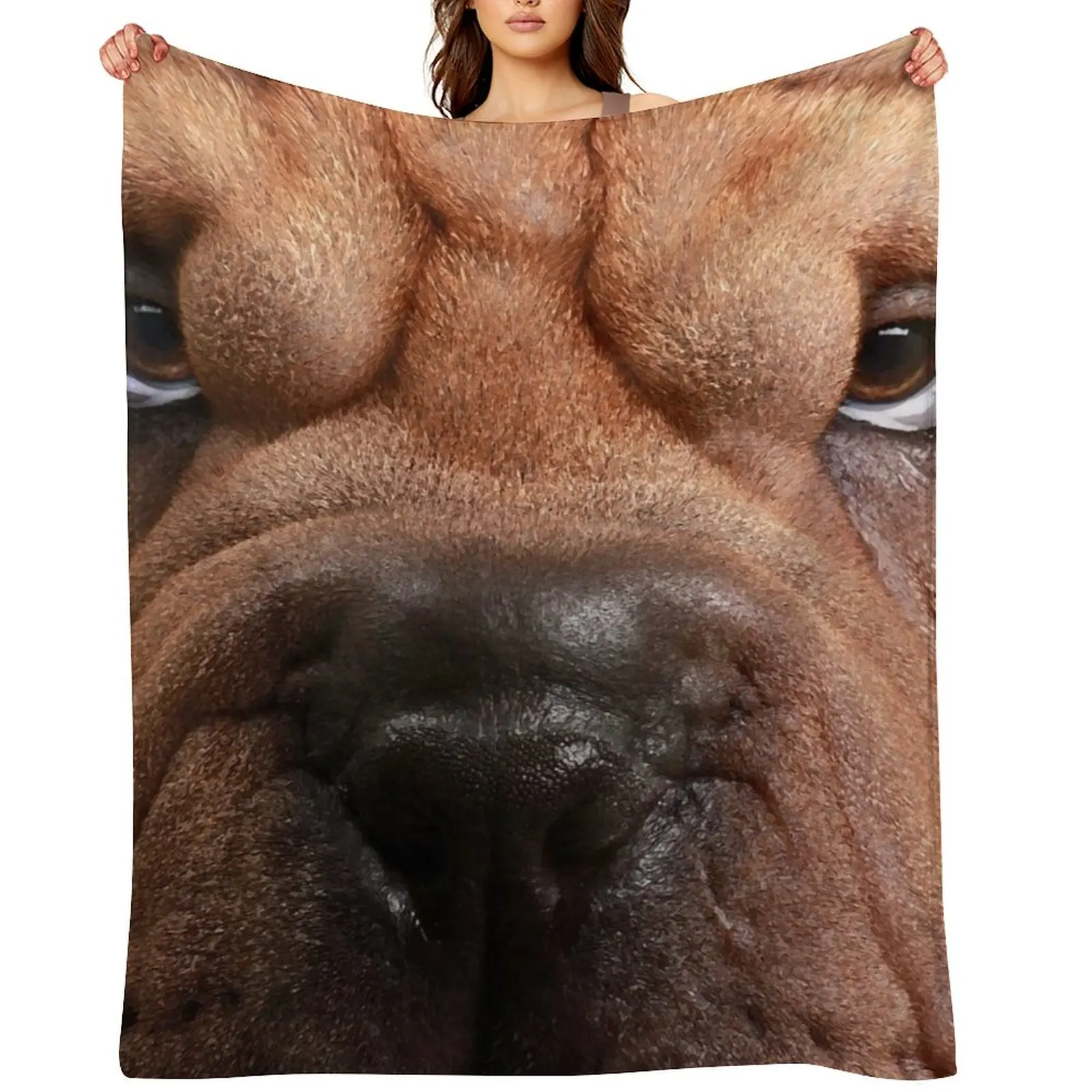 

Shar Pe Throw Blanket Designers Picnic Travel Plaid Blankets