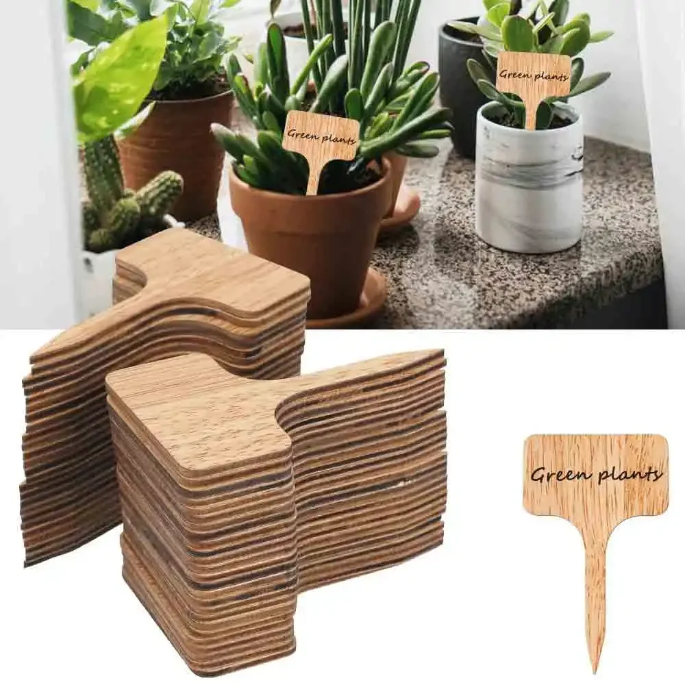10/20/30PCS T-Type Bamboo Plant Labels Eco-Friendly Plant Sign Tags Garden Markers for Bonsai Seed Potted Herbs Flowers