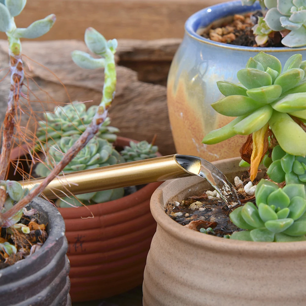 

Succulent Watering Can Gardening Tool Stainless Steel Kettle Small Size Perfect for Plants Bonsai Hanging Long Spout Durable