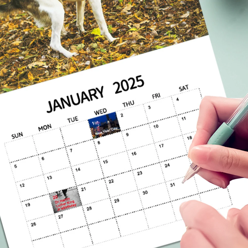 Tischkalender mit schönen Orten zum Kacken von Hunden, 2025, Monatsplaner, 12-Monats-Kalender, Tagesplaner, Kalender für das Heimbüro