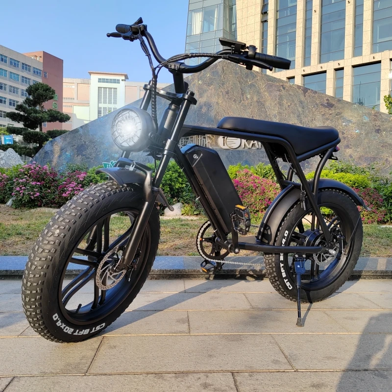 

Orginal V8 Fatbike Factory Price 250w High Speed Motor Cheap Electric Bicycle 20" Fat Tire Ebike For Adults in Stock EU USA